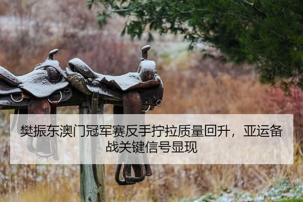 樊振东澳门冠军赛反手拧拉质量回升，亚运备战关键信号显现